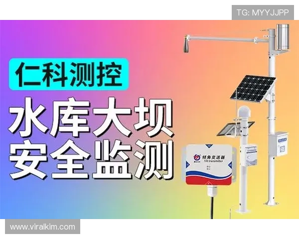 如何高效完成BG视讯开户手续，提供详细操作指南和安全保障措施，保障您的资金安全