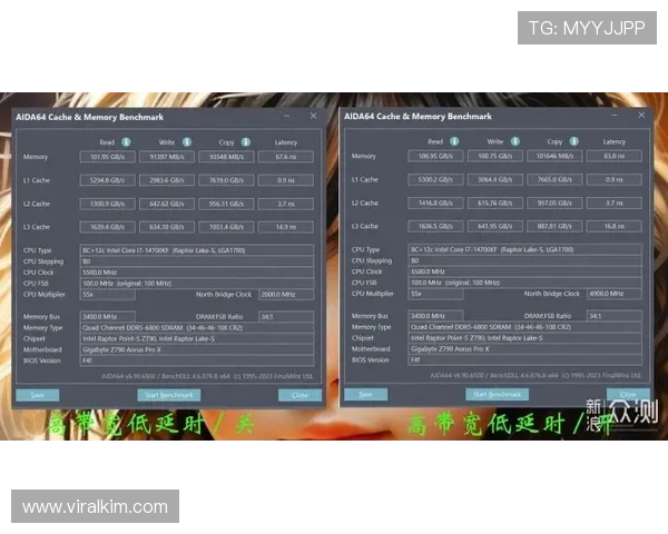 提升在ag视讯国际厅中的胜率技巧,实用策略与实战经验分享 提升在ag视讯国际厅中的胜率技巧,实用策略与实战经验分享